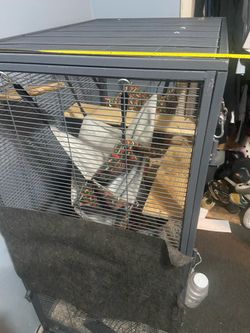 Large Small Animal Cage with wheel