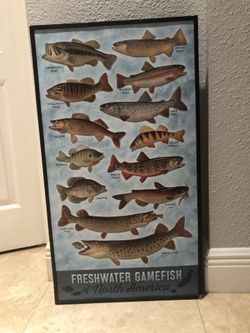 Room decor