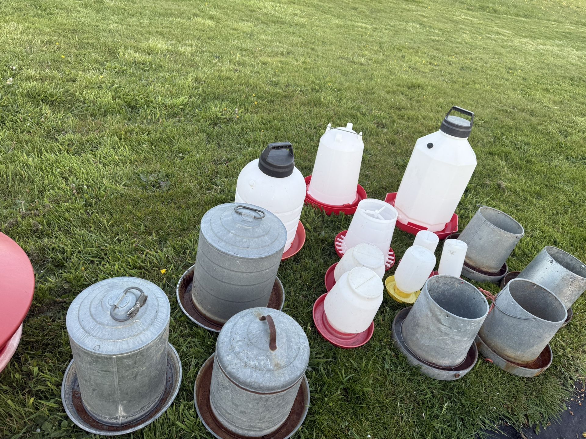 Chicken, Raising Equipment, Feeders, Waters, Carrying Crates And More