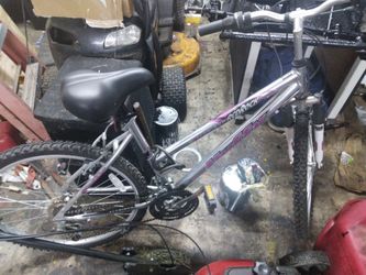 Adult Bokes - $35 each!