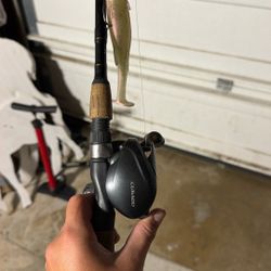 Curado And Diawa Combo