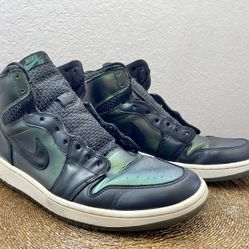 Nike Jordan 1 SB Craig Stecyk 2014 Black Silver Green Dunk Lance Mountain 12