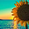 Sunshine Mar Closet