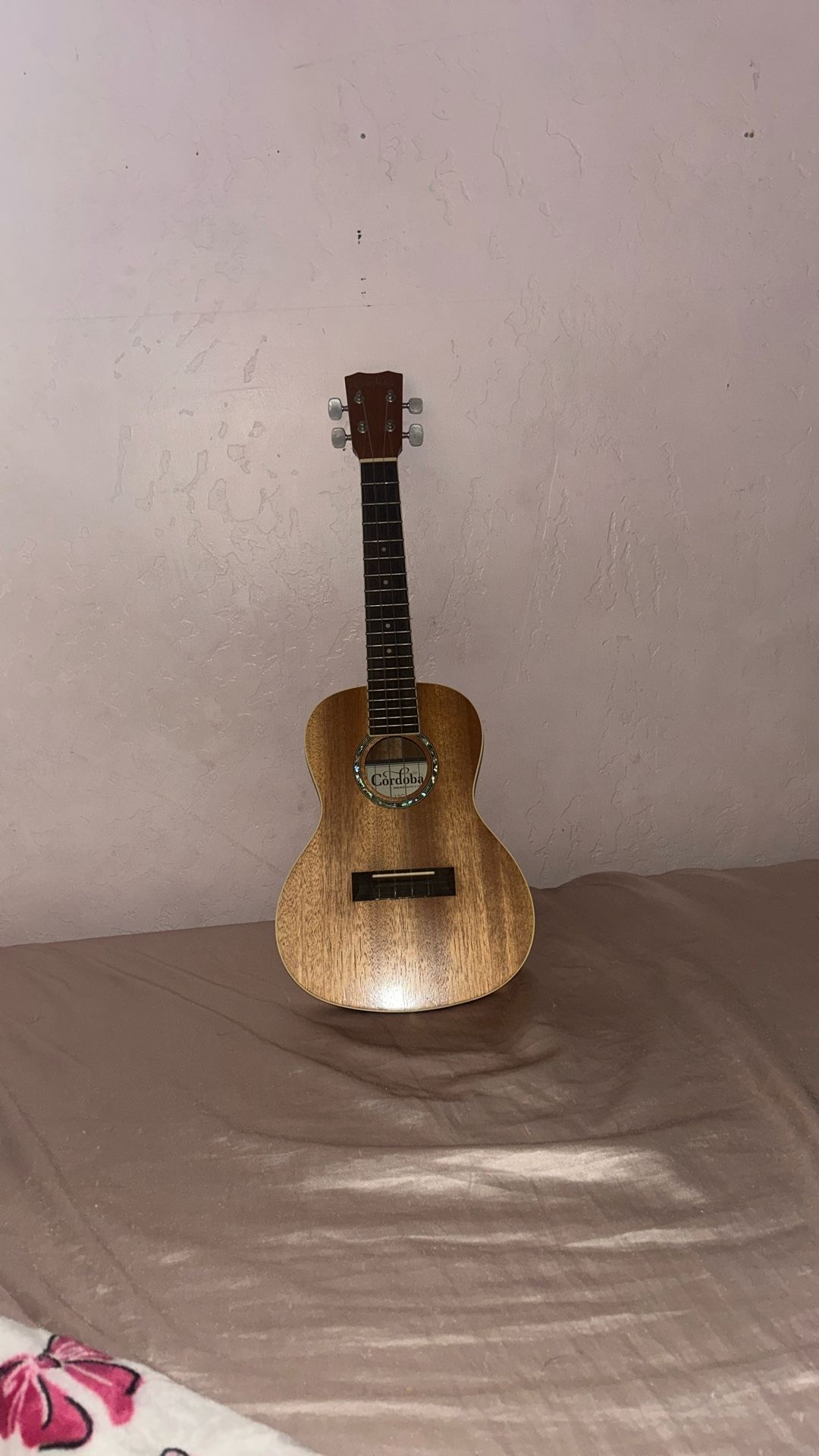 Cordoba 15cm Concert Ukulele