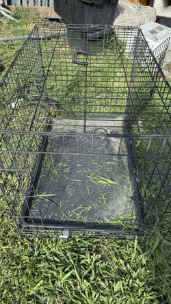 Dog Crate