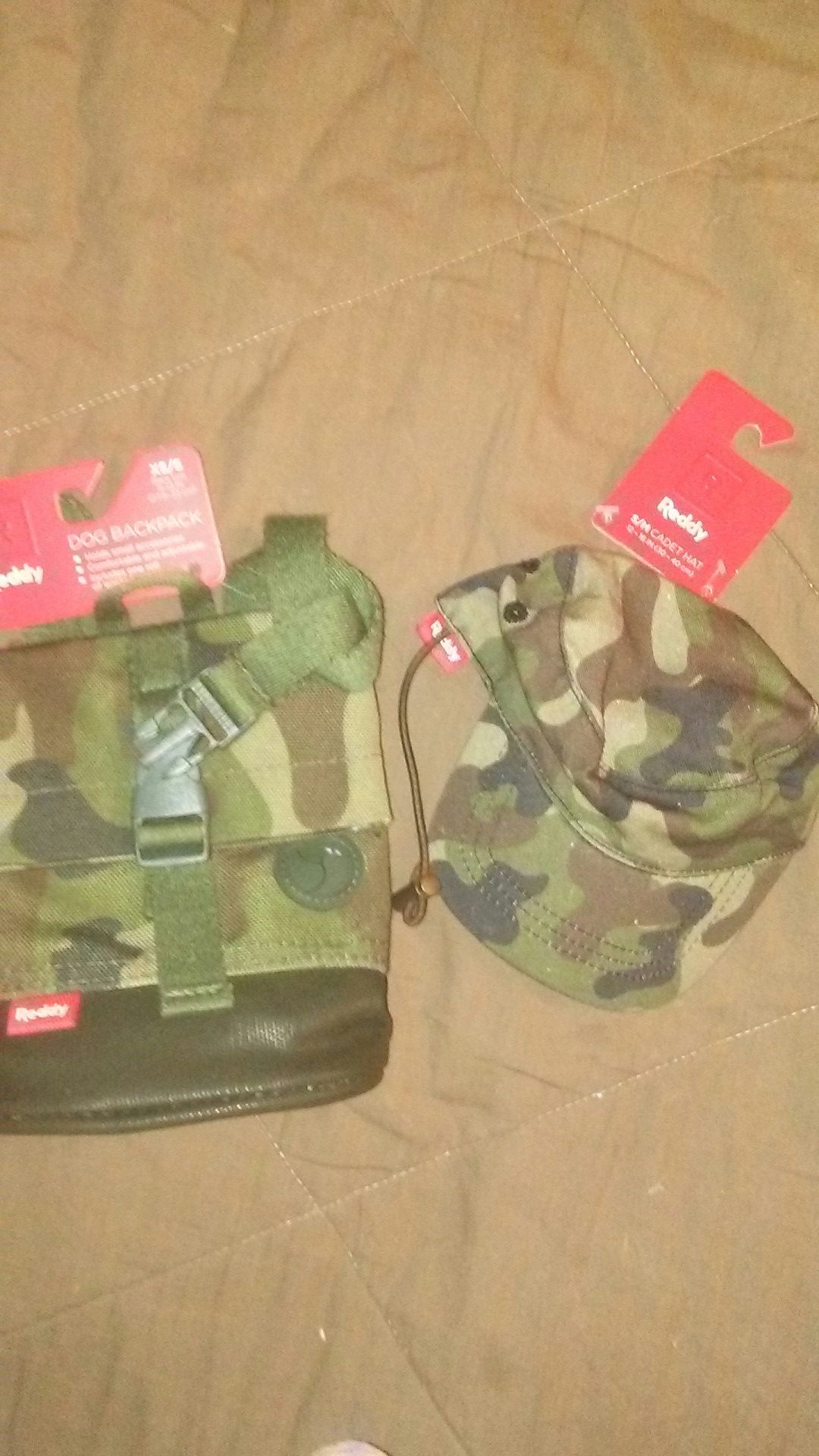 Small dog backpack and hat