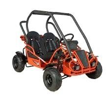 Midsize 125cc GOKART Fully Automatic With Reverse 