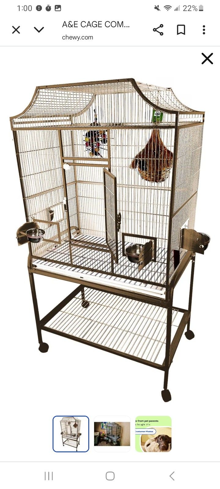 Flight Bird Cage