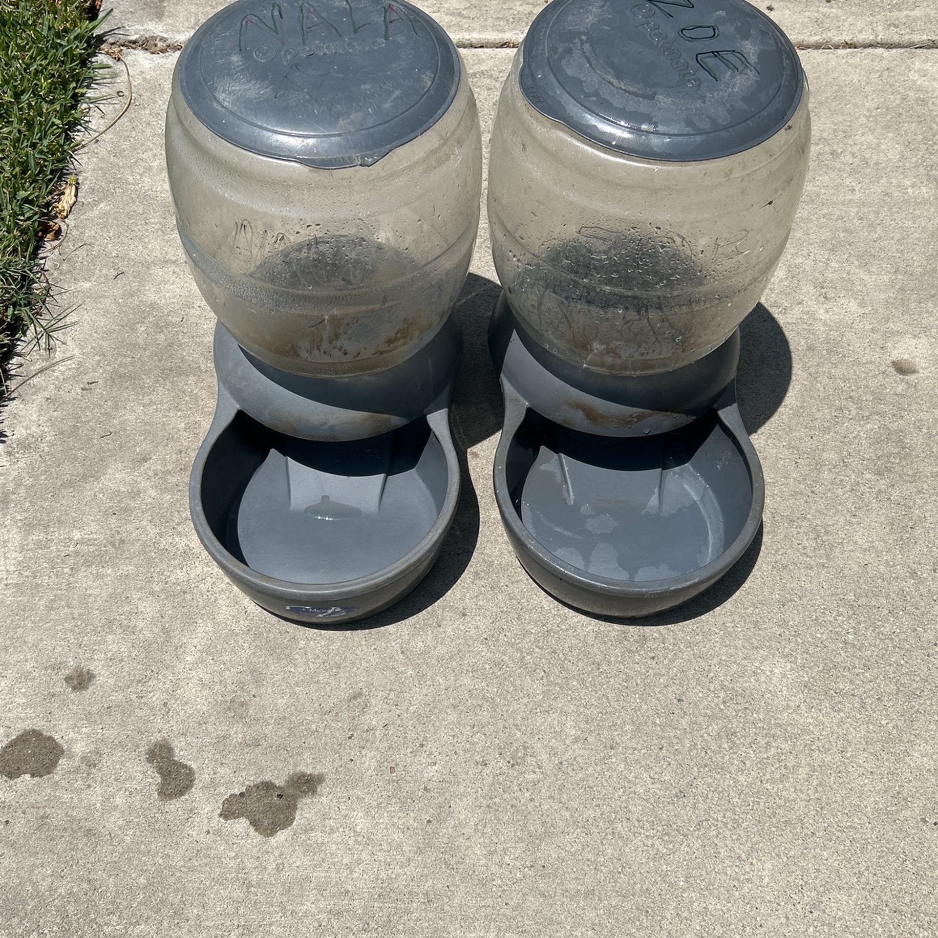 Dog Or Animal Feeders Large
