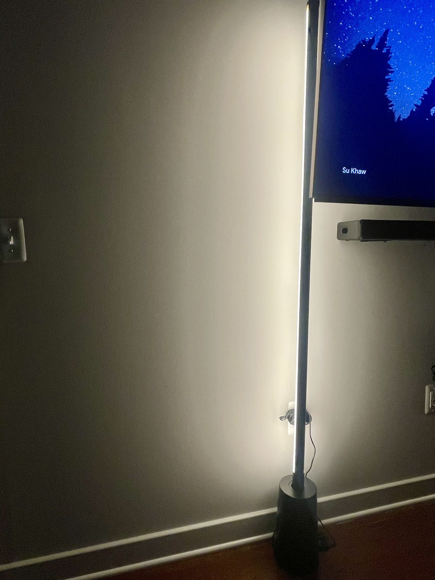 Tall LED Living Room Light