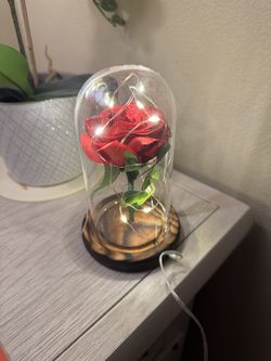 Red Sparkly Rose in Glass Dome with Lights