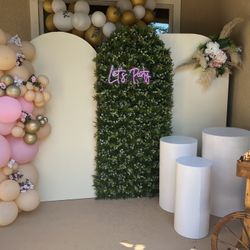 Balloons Decoration /backdrops 