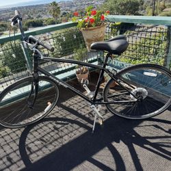 Bike Black Jamis bike 