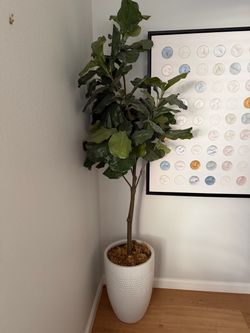 Artificial fiddle leaf tree