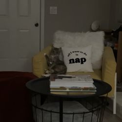 “All I Want To Do Is Nap” Pillow 