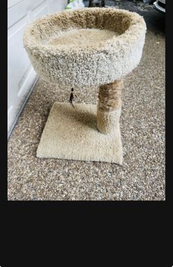 Cat Condo Cat Tree Cat House Cat Scratch Post Scratchers Cat Bed