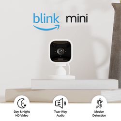 Blink Mini Camera 