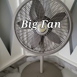 Fan on Base Stand 3 Speeds  , Palm Springs 