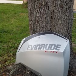 Evinrude E-tec Side Cowling