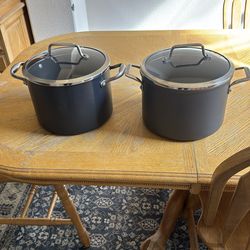 2 Analon 10 qt.stock pots