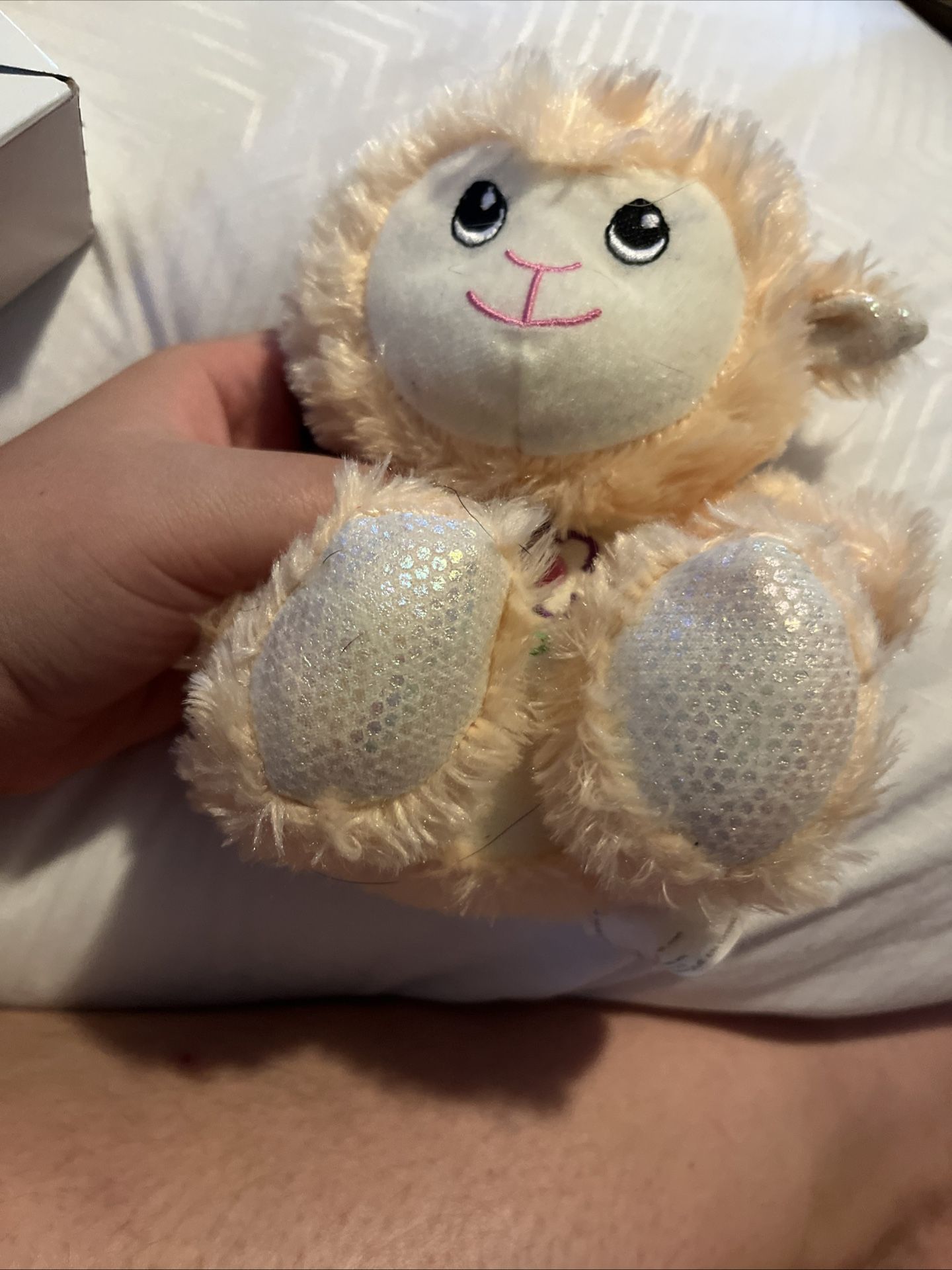 Teddy bear