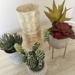 Fake Plants and Lamp