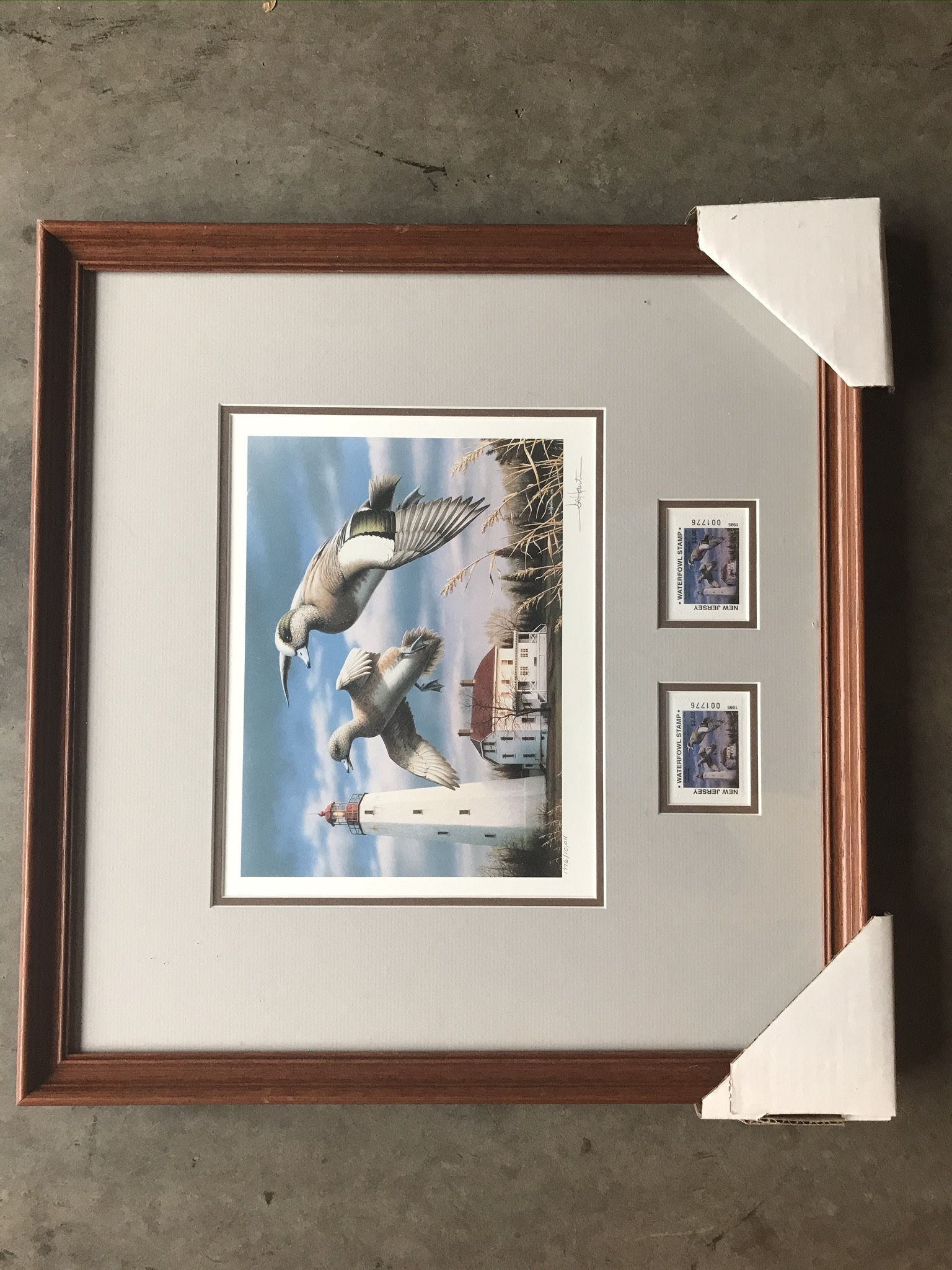 Framed Duck Stamps And Duck Prints