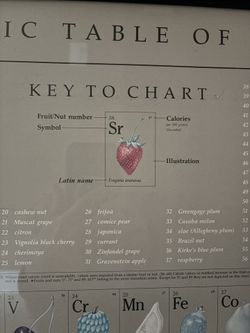 Periodic Table Of The Fruits And Nuts, Framed 