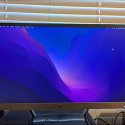  HP Pavilion 22cw
21.5 in IPS LED backlit
monitor; NO BUILT-IN
SPEAKERS