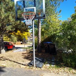 Lifetime Basketball Hoop 🏀 