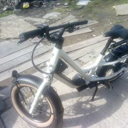 Specialized Electric Bike St.Haul 700 Watts 
