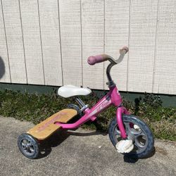 GIANT Bike lil’ Giant Tricycle Trike Pink Giant Trike 