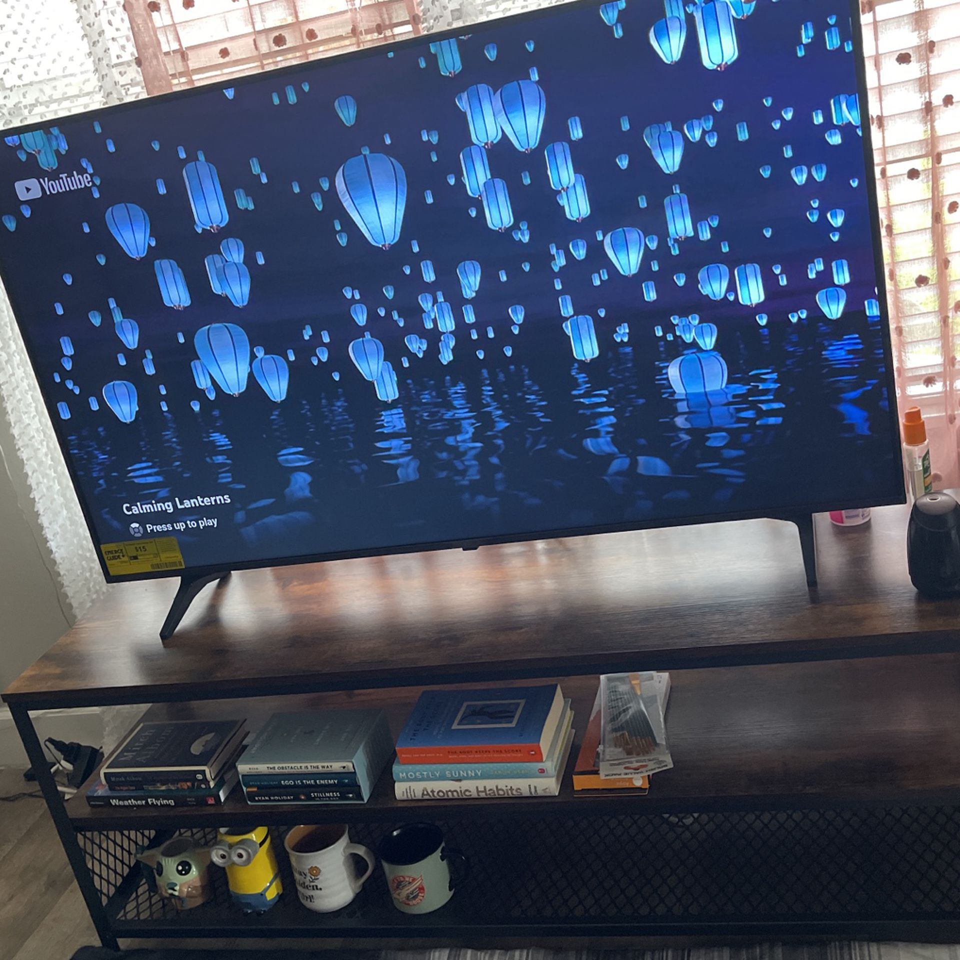 LG 55 Inch TV  ($180) + With  the Table ($70)
