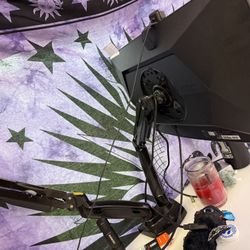 Dual arm monitor stand