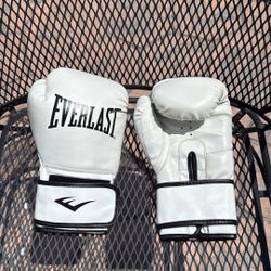 Everlast Boxing Gloves 