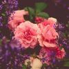 🌹