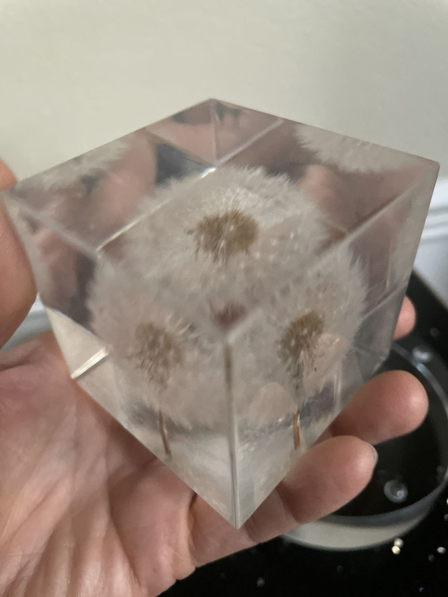 Vintage  Dandelion Lucite Block Paperweight 2.25”x 2.25”