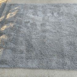 Gray Fluffy Rug