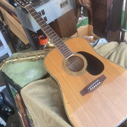 Fannin Acoustic Guitar 