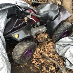 Adult Quad 125 Cc Only Needs New Battery. 