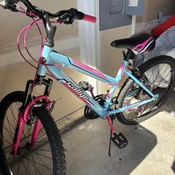 Blue And Pink Bike