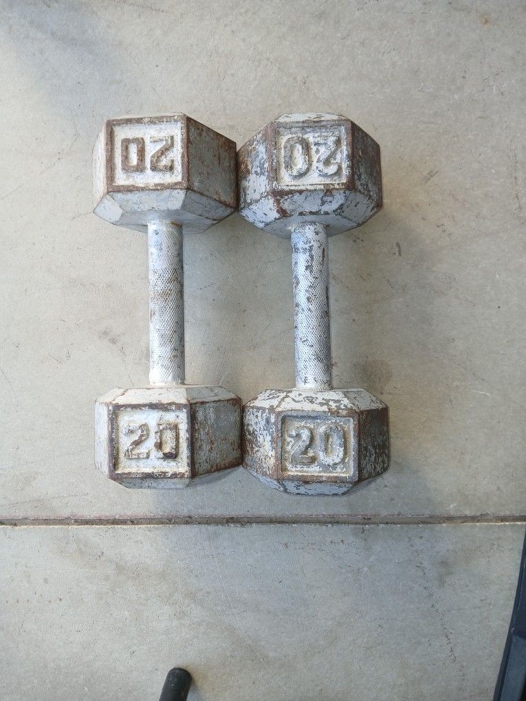 Dumbbell Set 20lbs