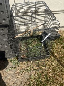 Bird Cage