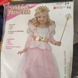 Sparkle Princess Size 4-6 Girls Costume 