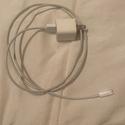 iPhone Charger