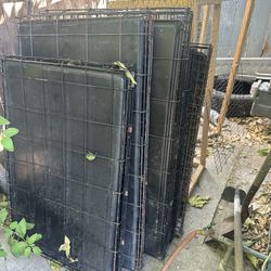 Large Dog Crates 