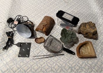Lizard Habitat Accessories