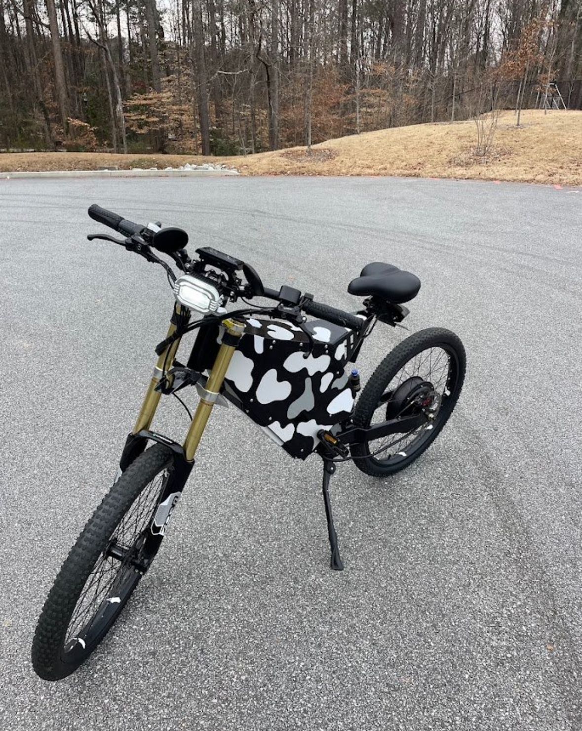 Stealth Bomber Enduro E-Moto/ Ebike