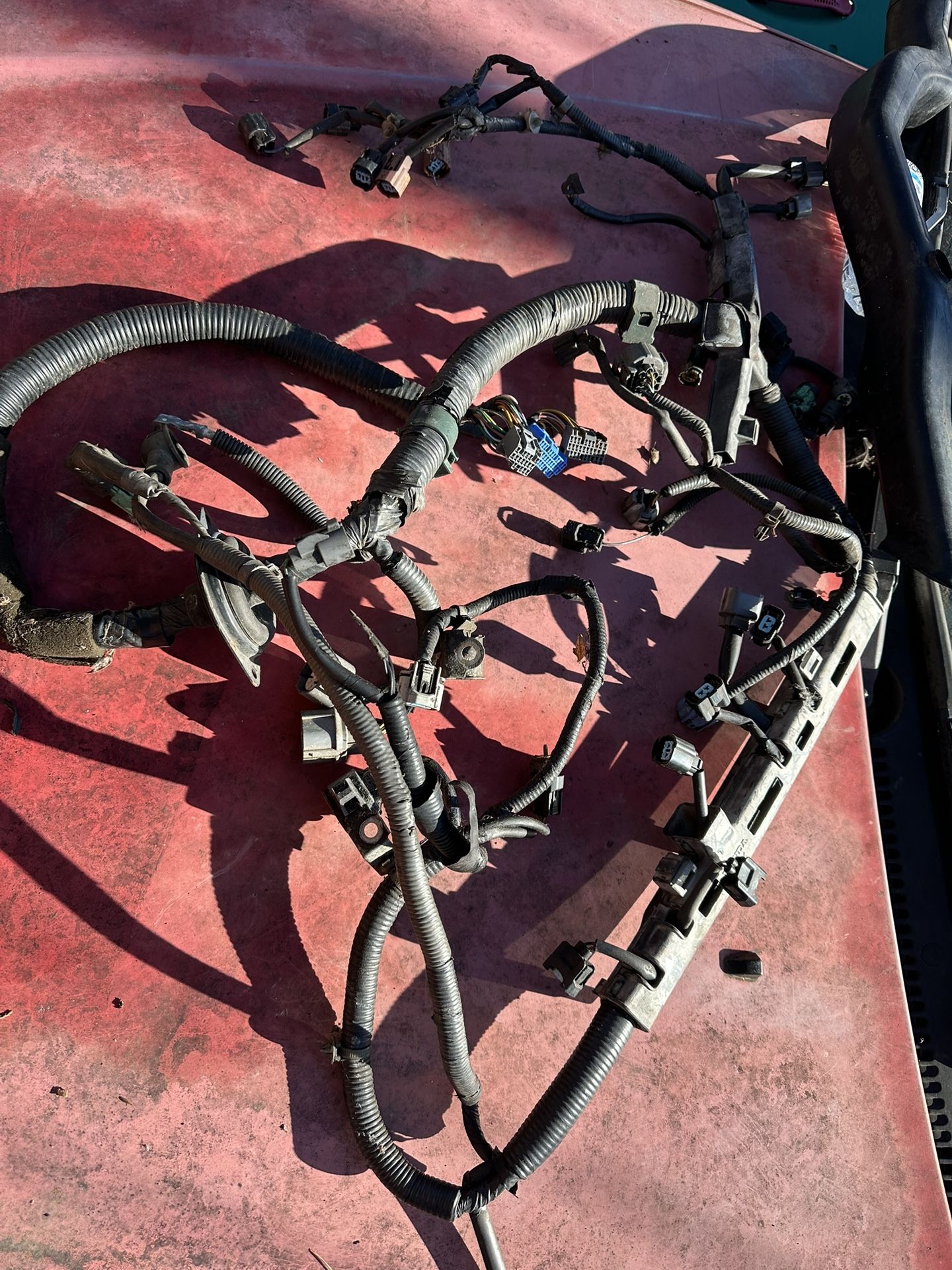 Wiring Harness