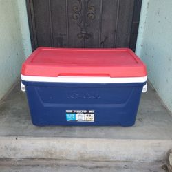 Igloo 48qt Ice Chest 